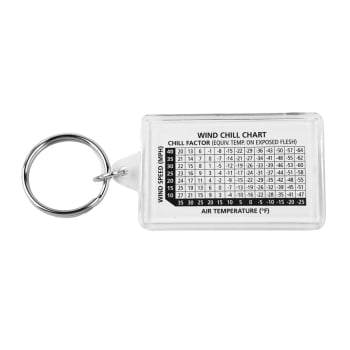 CHAVEIRO THERMOMETER KEY RING - COGHLAN´S