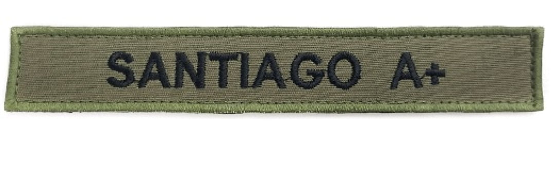 TARJETA SUTACHE BORDADO NOME PERSONALIZADO 10º UNIFORME FAB
